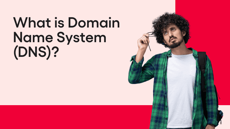 domain name system