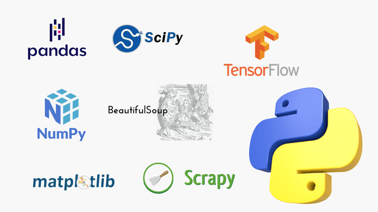 169 image for blogs (1) (1).png