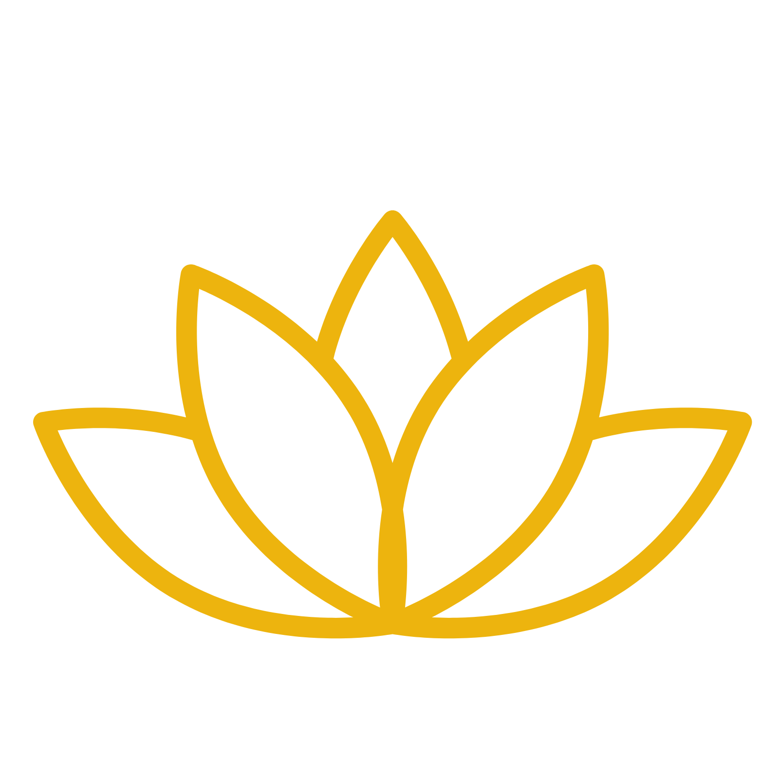 Lotus Icon
